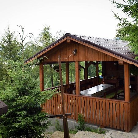 Casa Edy Otel Colibiţa Dış mekan fotoğraf