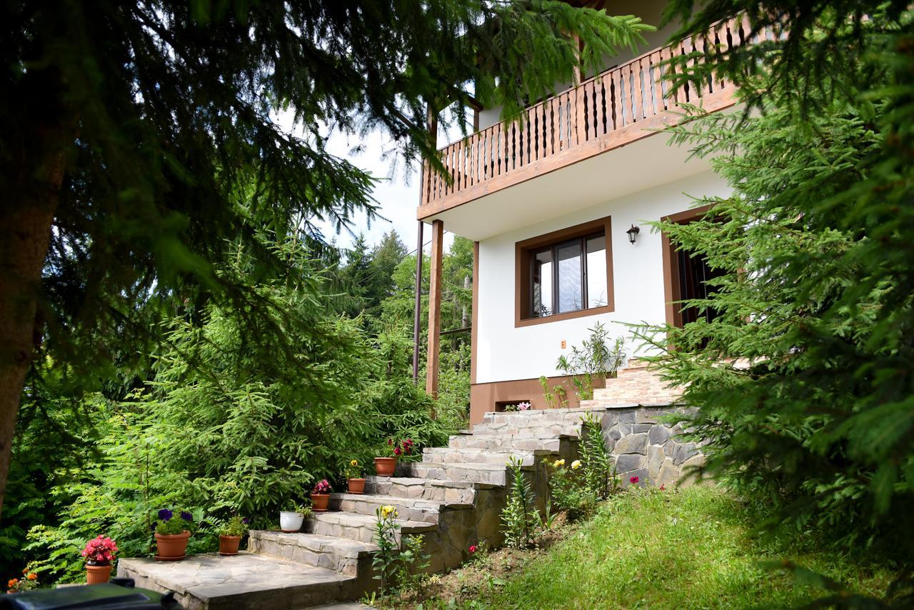 Casa Edy Otel Colibiţa Dış mekan fotoğraf