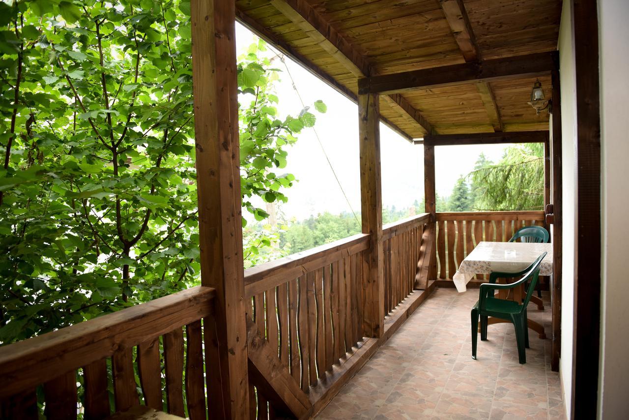 Casa Edy Otel Colibiţa Dış mekan fotoğraf